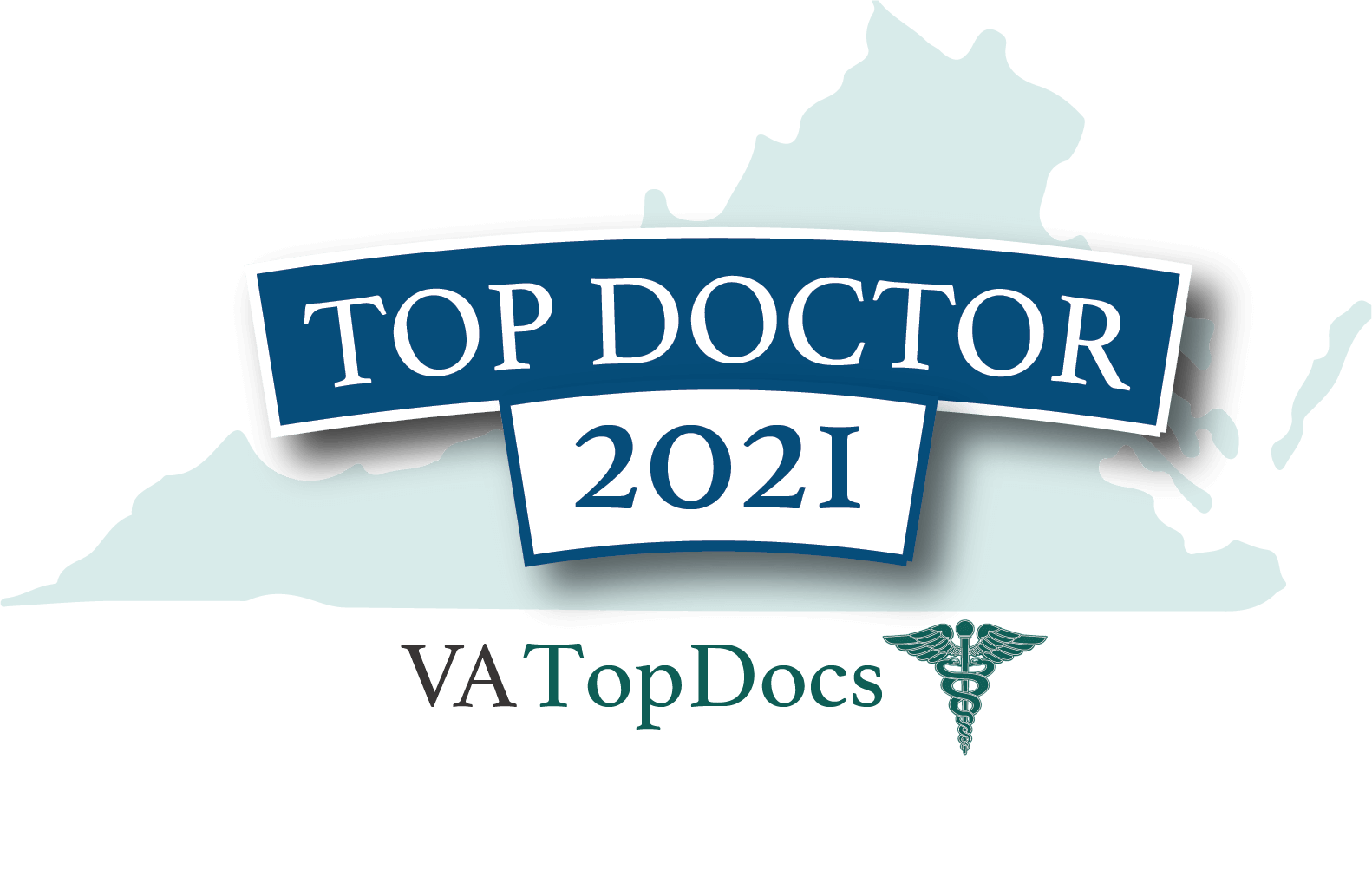 Top Doctor 2021 award by VA Top Docs